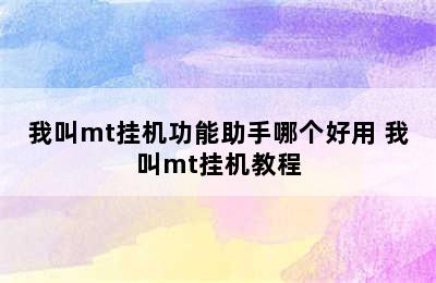 我叫mt挂机功能助手哪个好用 我叫mt挂机教程